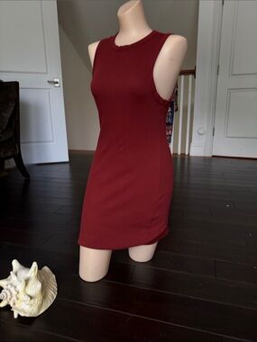 SKIMS Sleeveless Ribbed Mini Tank 
Dress in Wine/red